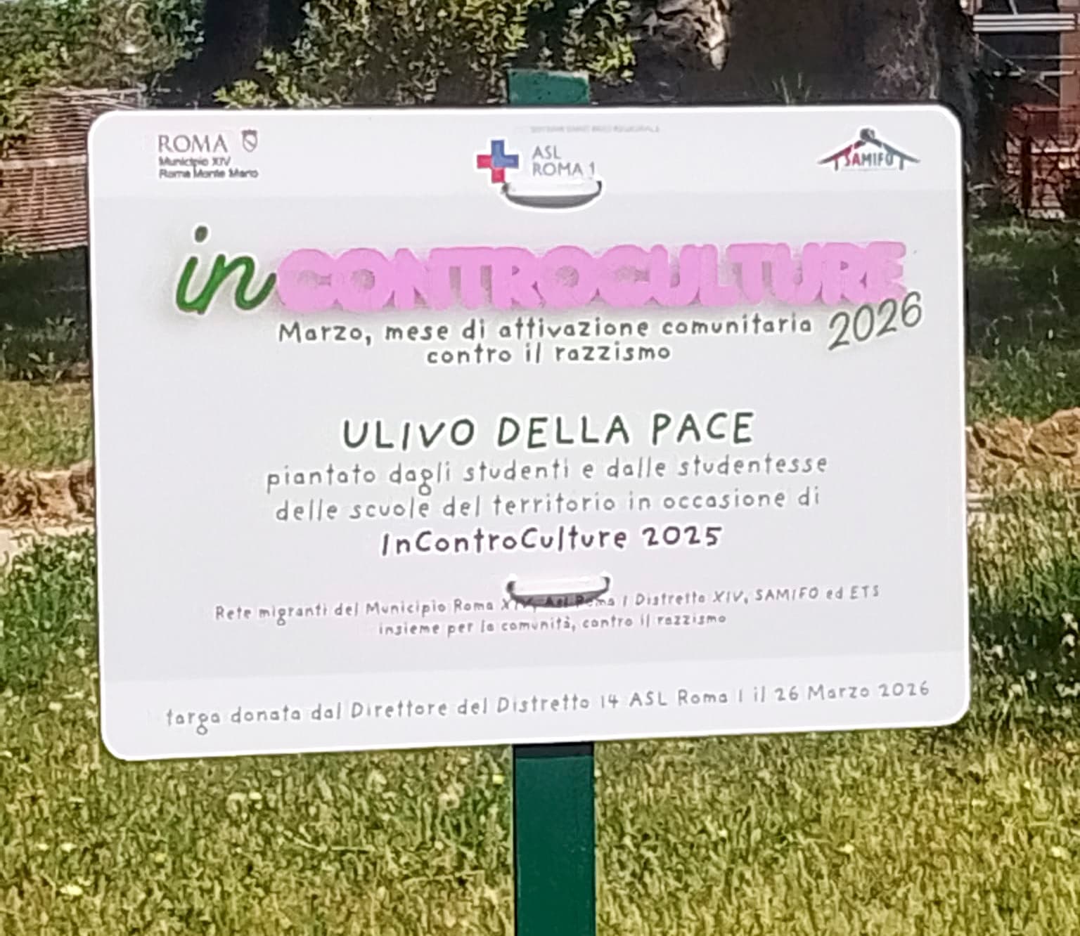Immagine nuova card