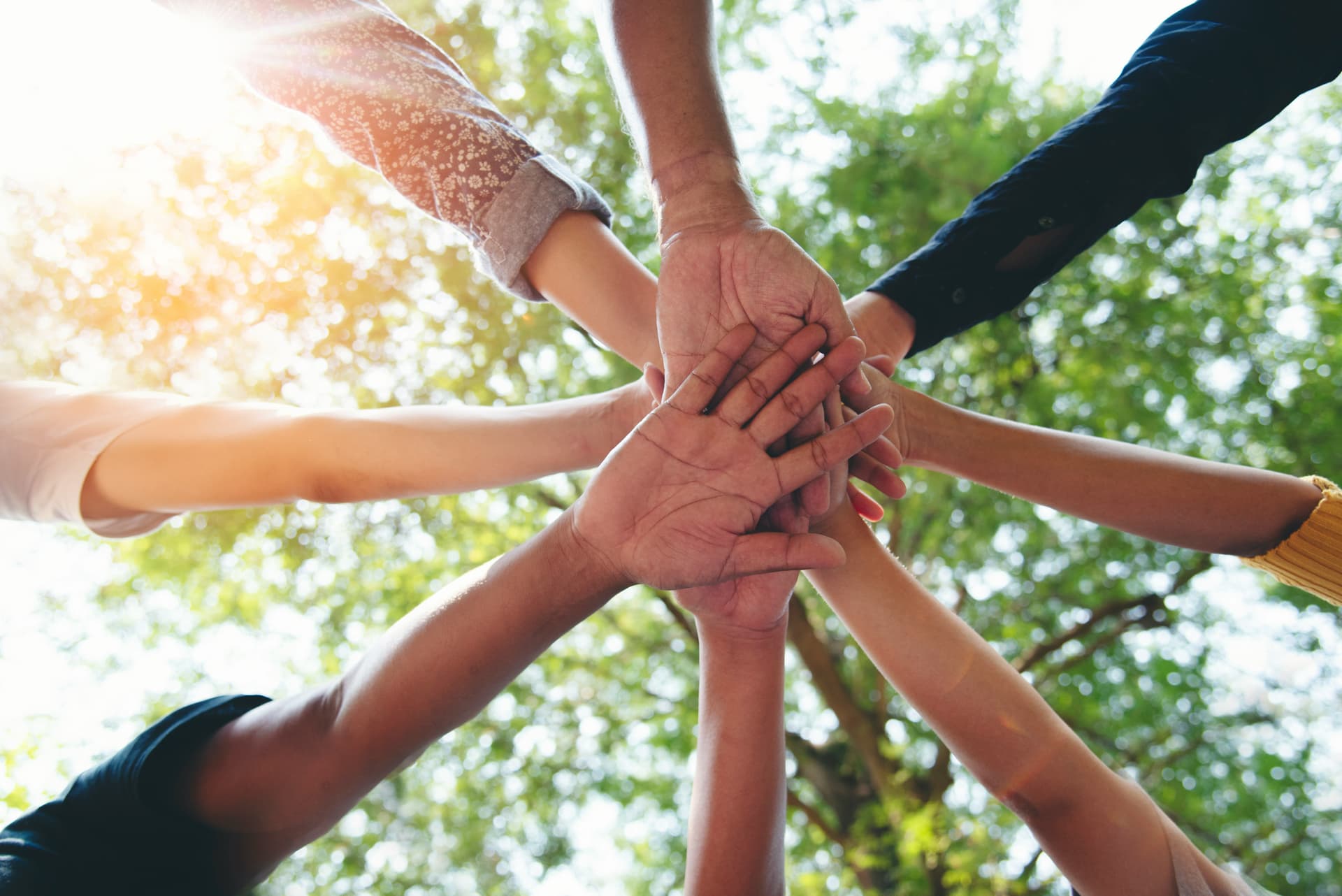 Mani che si tengono in segno di solidarietà